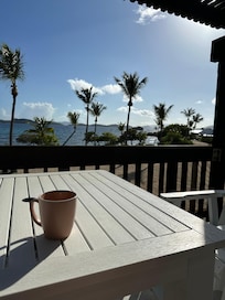 The view with my morning coffee