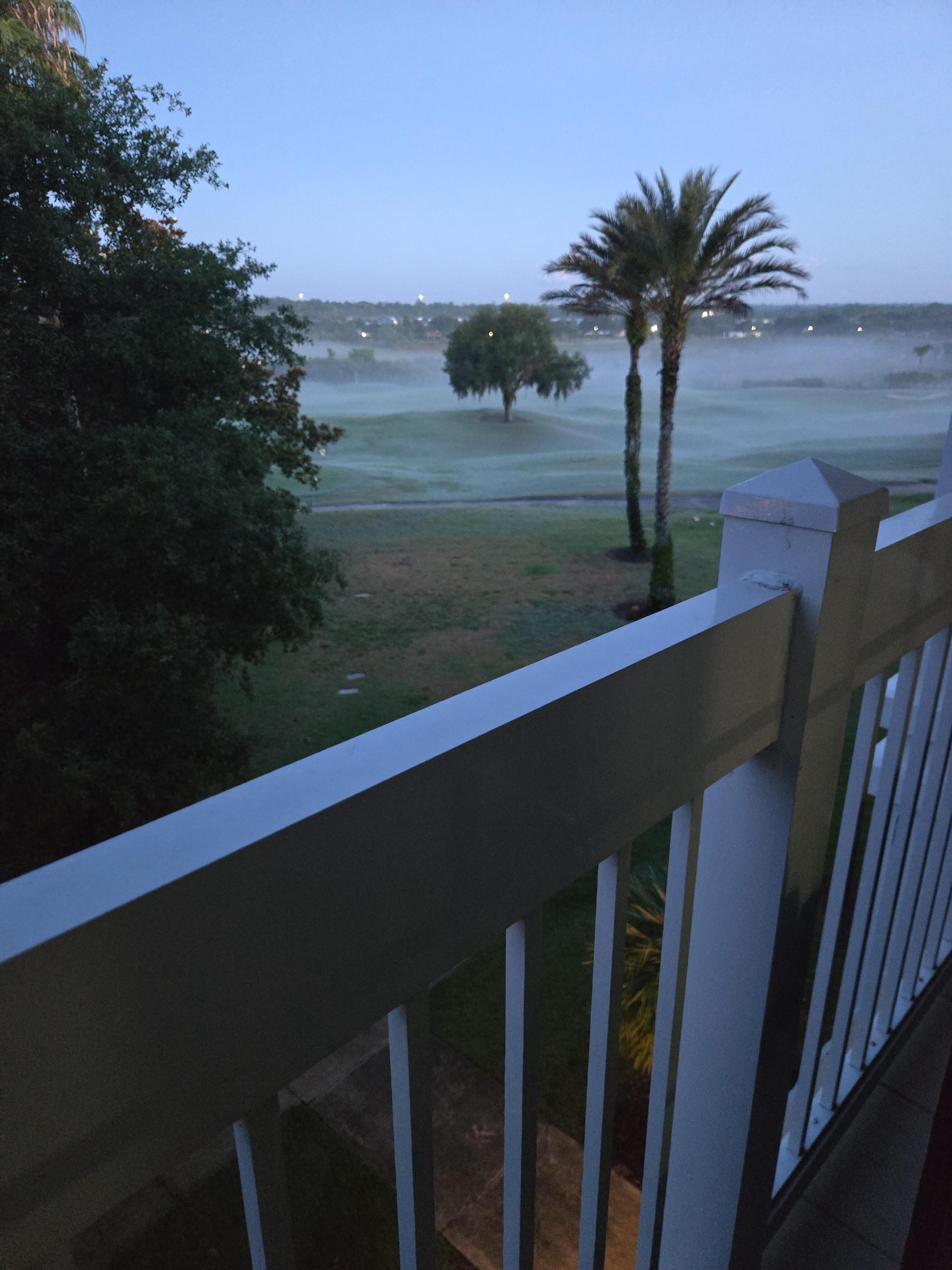 Early morning view