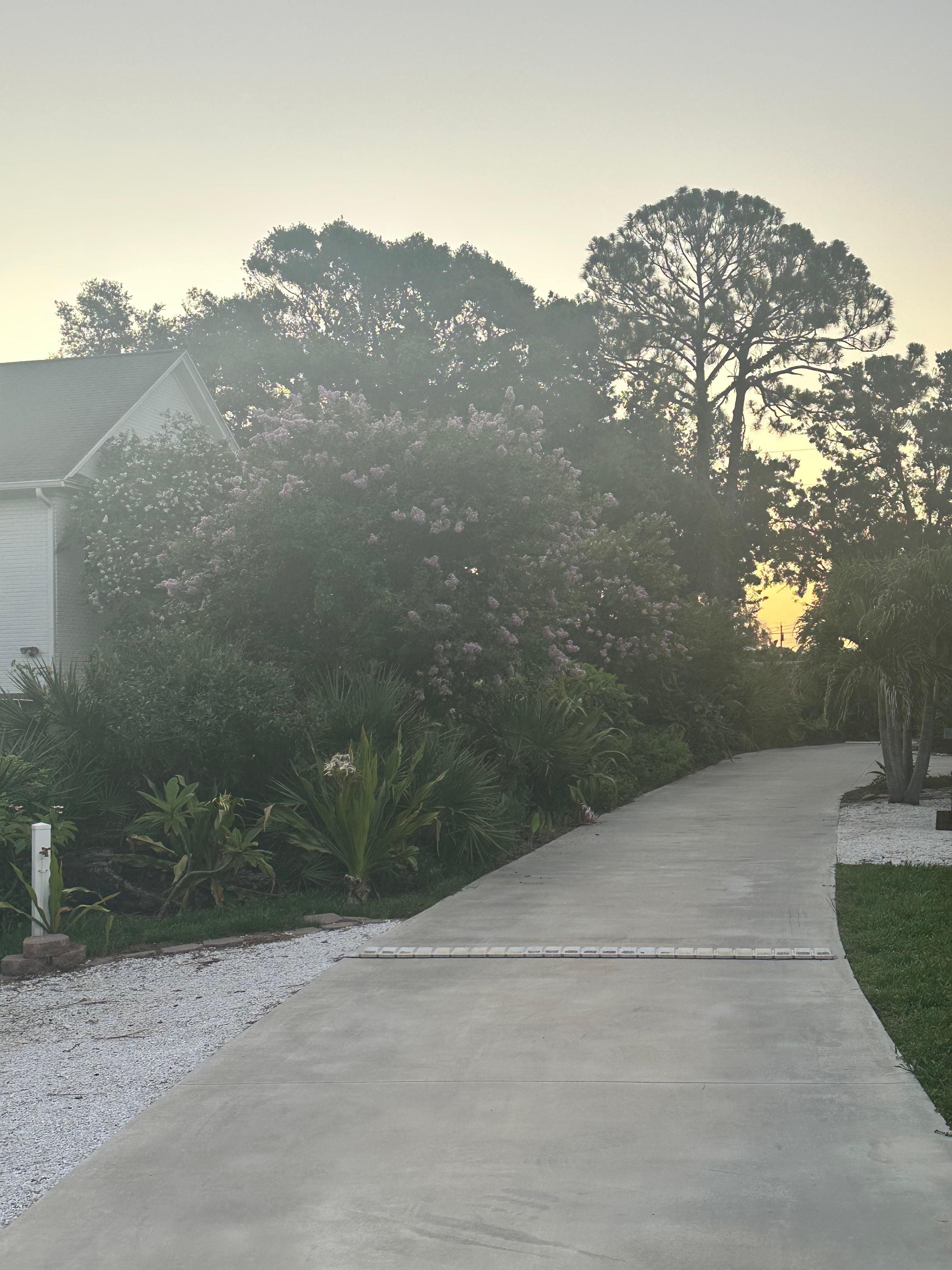 The West Wing parking area at Sunrise