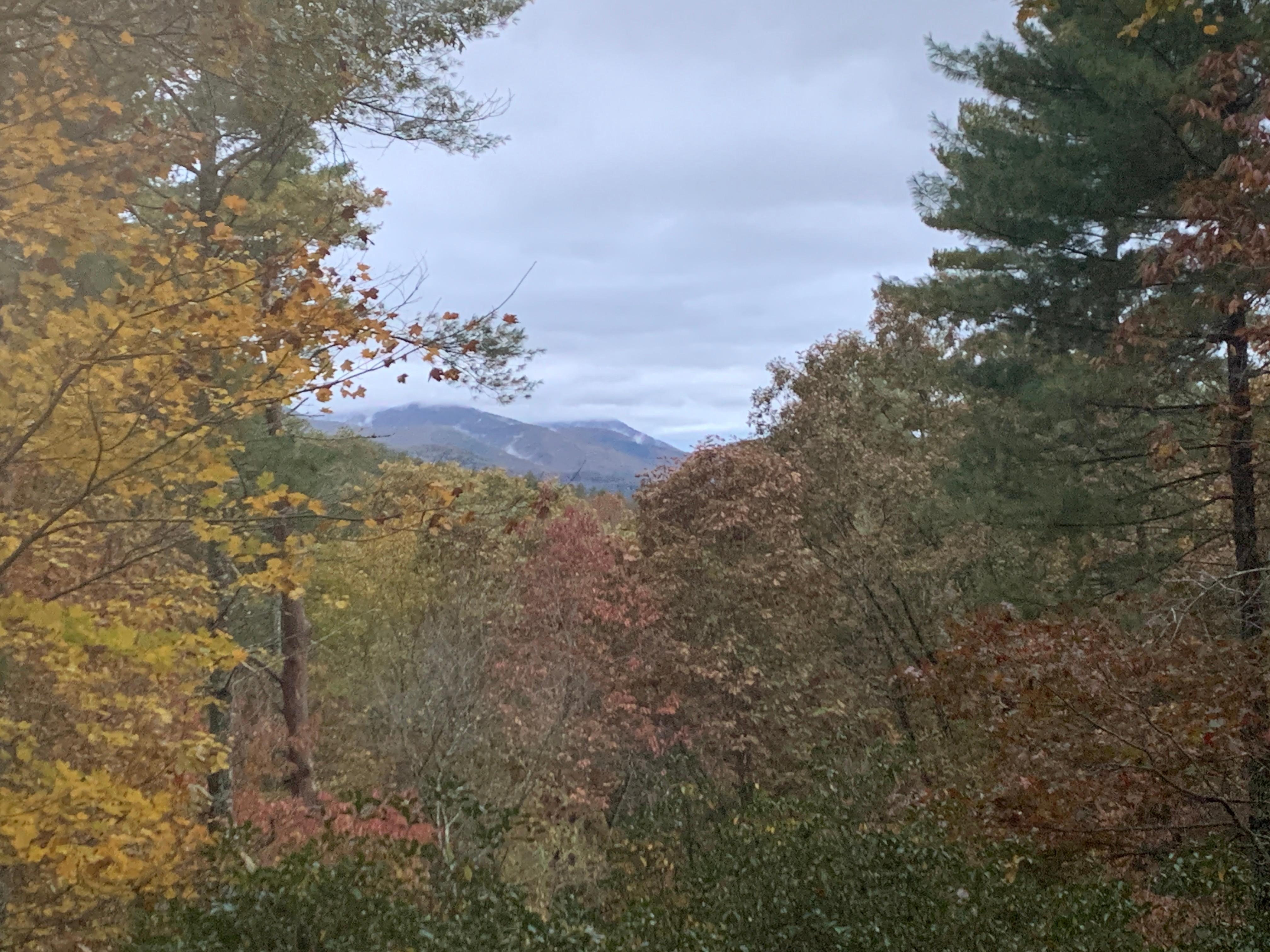 View from upper back deck