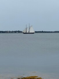Bluenose sailing by