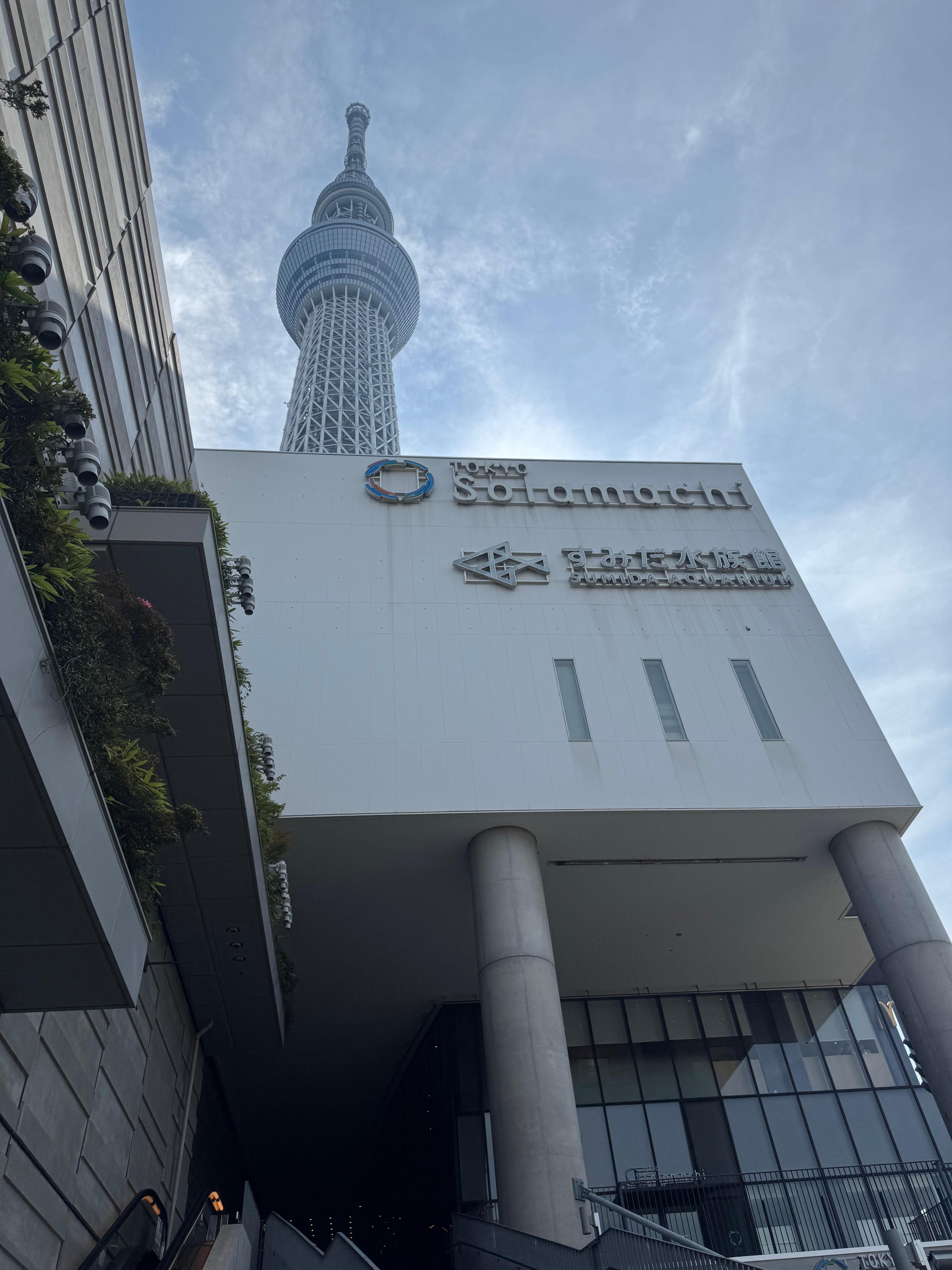 Aquarium in same building as Skytree across street.