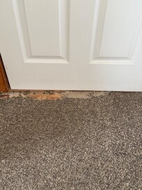 Carpet on second floor bedroom.