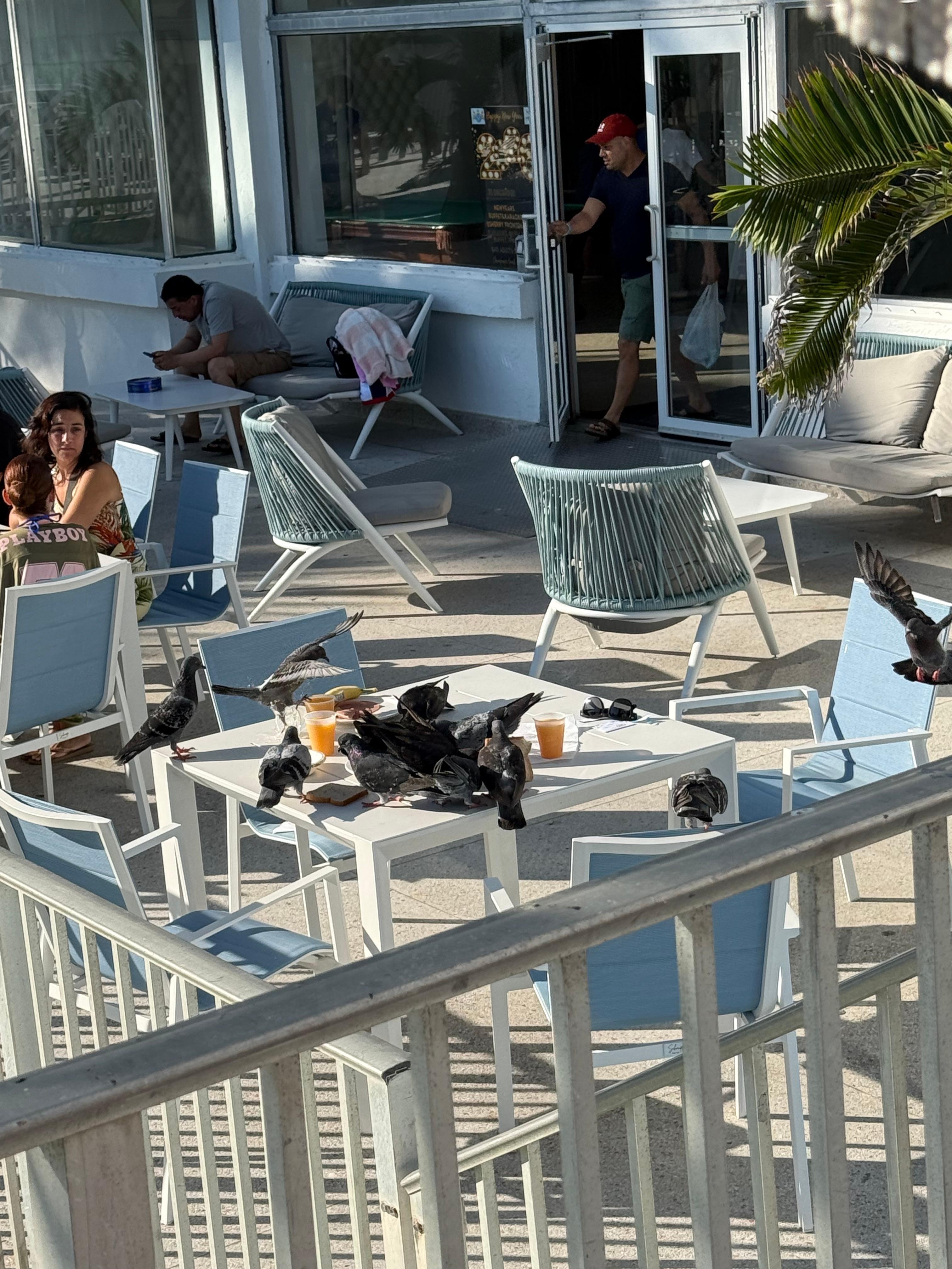 This is breakfast one morning where the pigeons get too eat as well.. No staff to clean tables. 