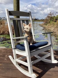 Relaxing on the dock