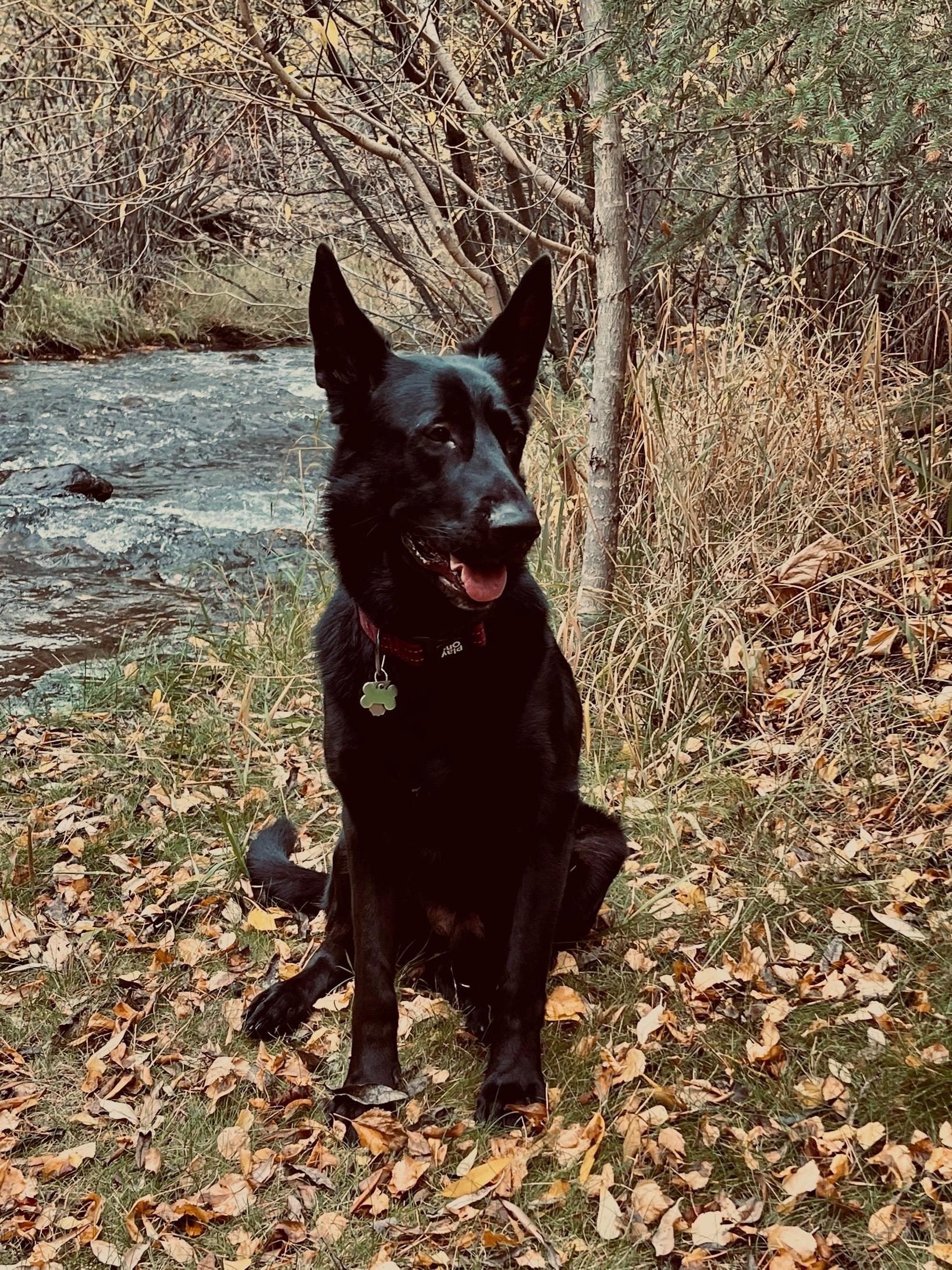 Doc Holliday creek side.  He had plenty of room to play ball!
