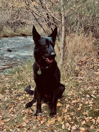 Doc Holliday creek side. He had plenty of room to play ball!