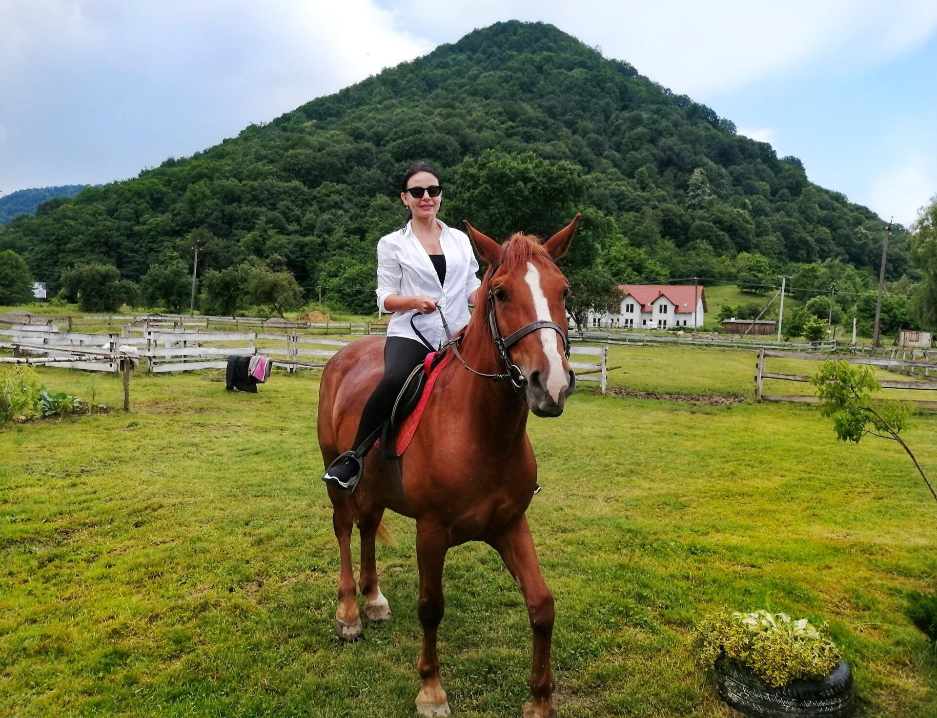 Horse riding near by