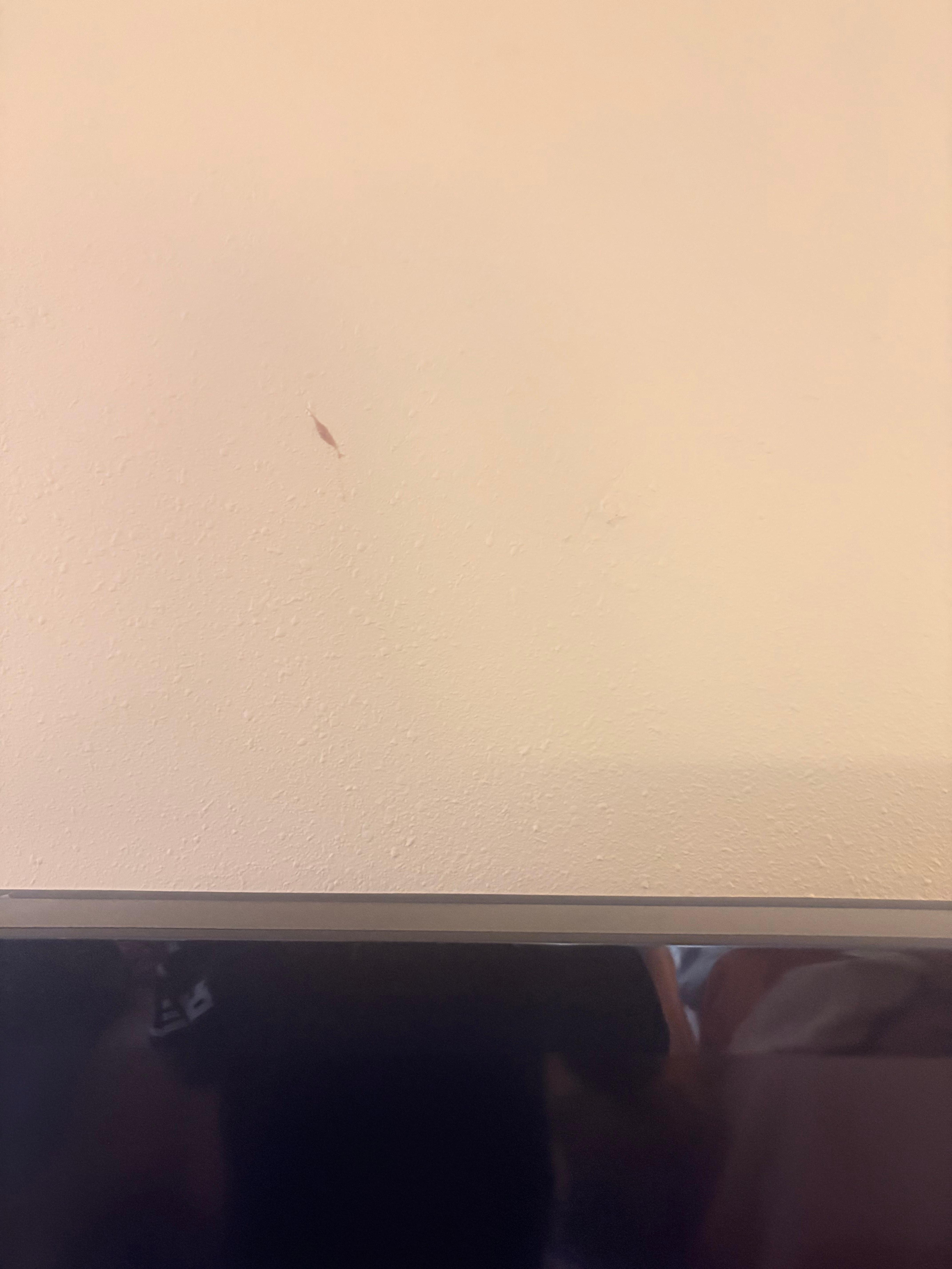 Mark over the TV. Looks like food or poo.