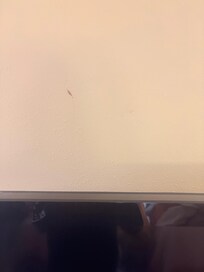 Mark over the TV. Looks like food or poo.