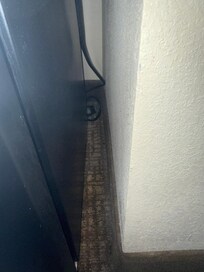 Small roaches behind the fridge