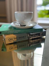 Our room had a nice selection of Irish books