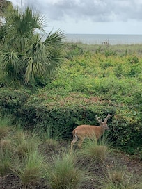 The view was beautiful