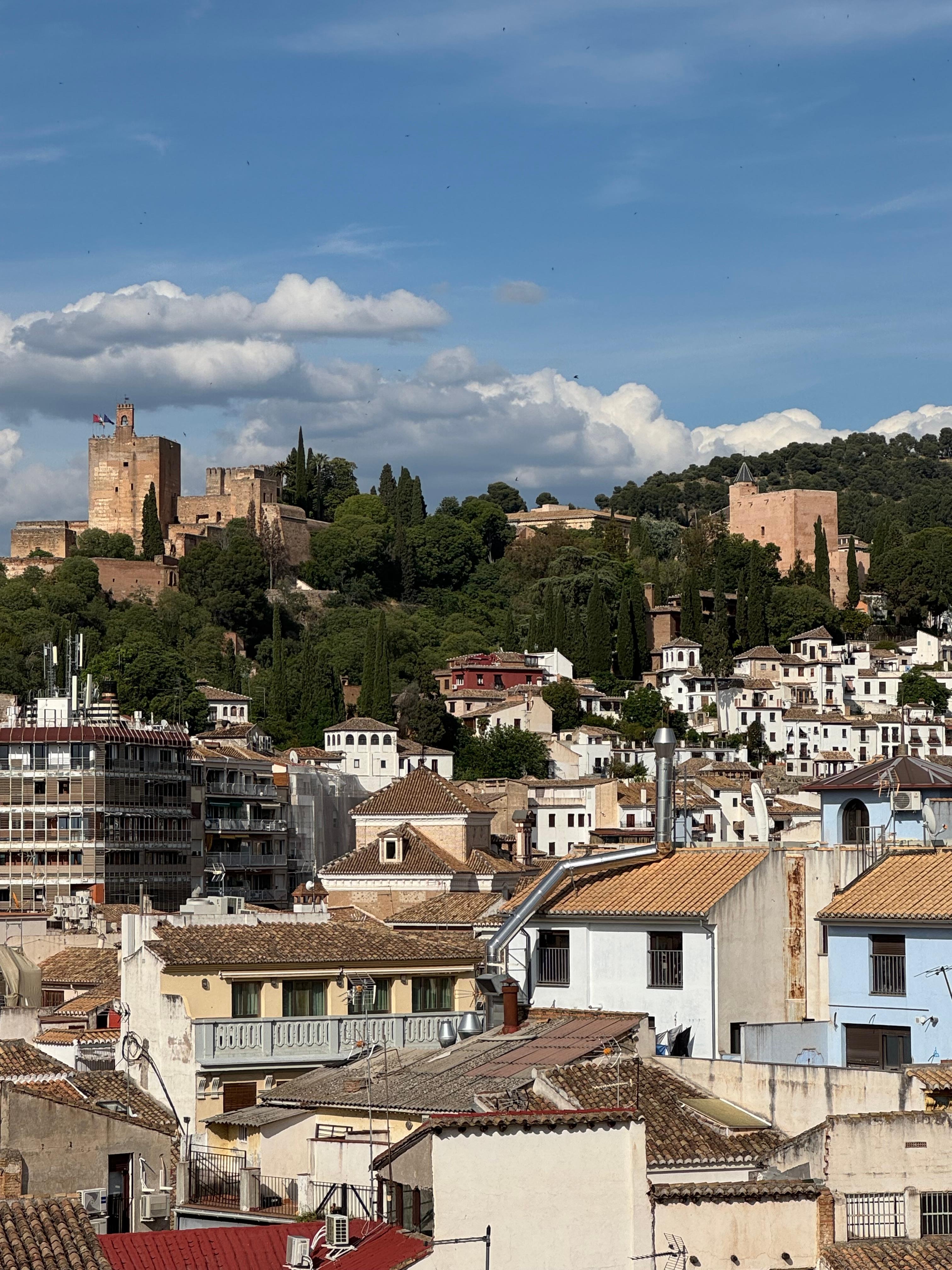 Views of Granada and the Alhambra, from the hotel roof top deck. 