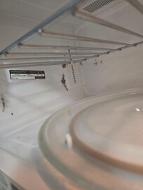 Mildew in microwave