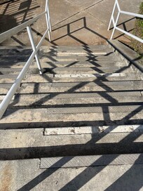 Steps to nature walk w loose pieces