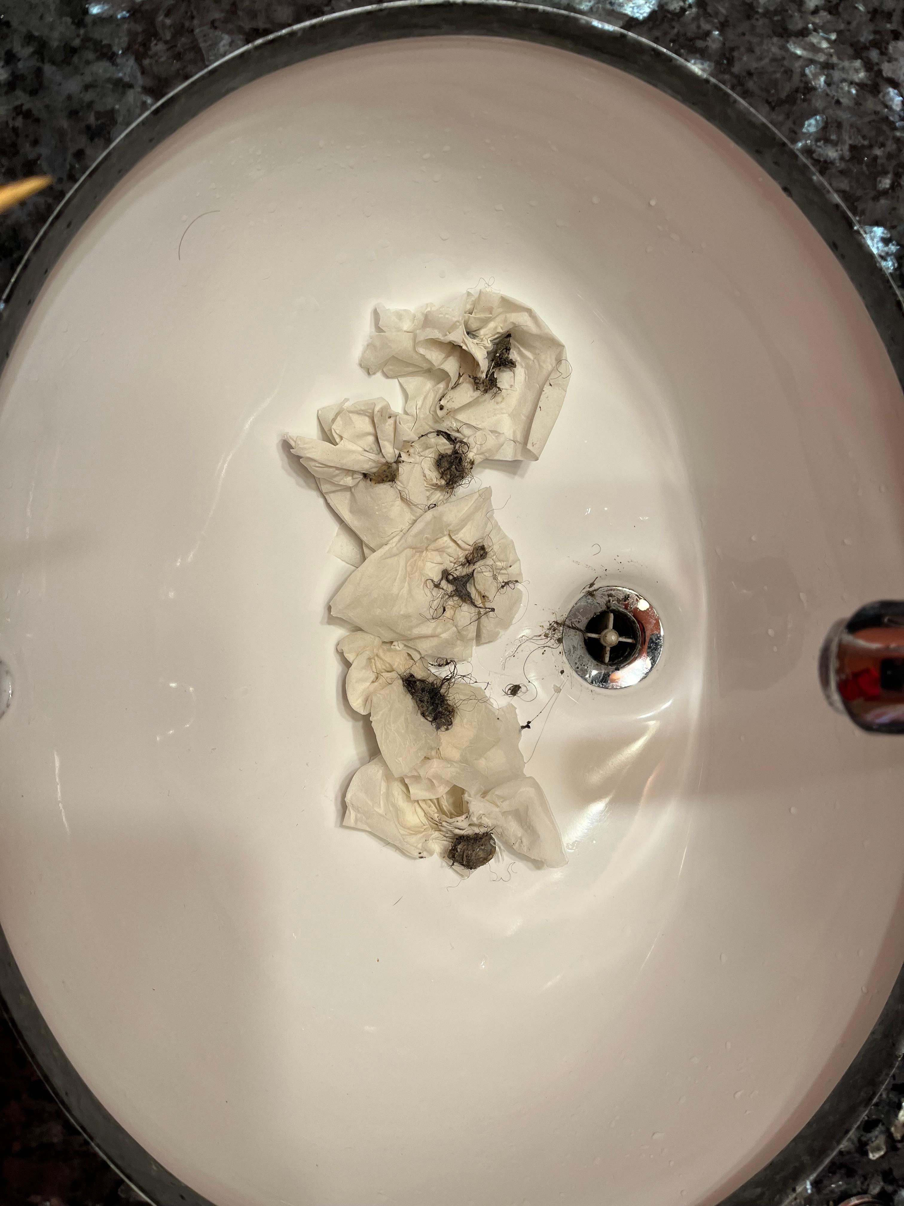 Globs of hair removed from sink drain