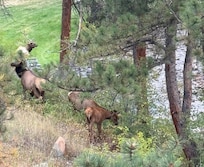 Taken from back deck.