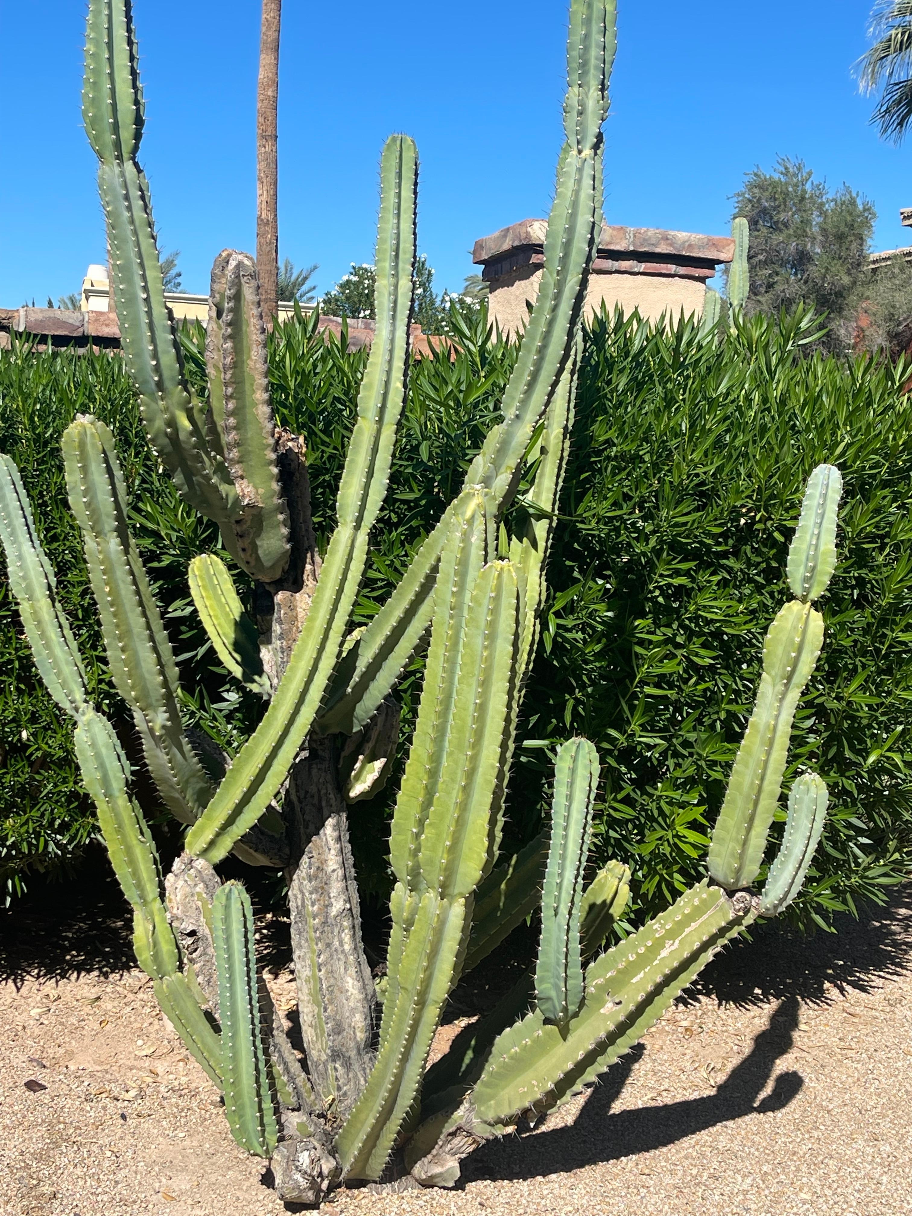 Walking tour of facility 