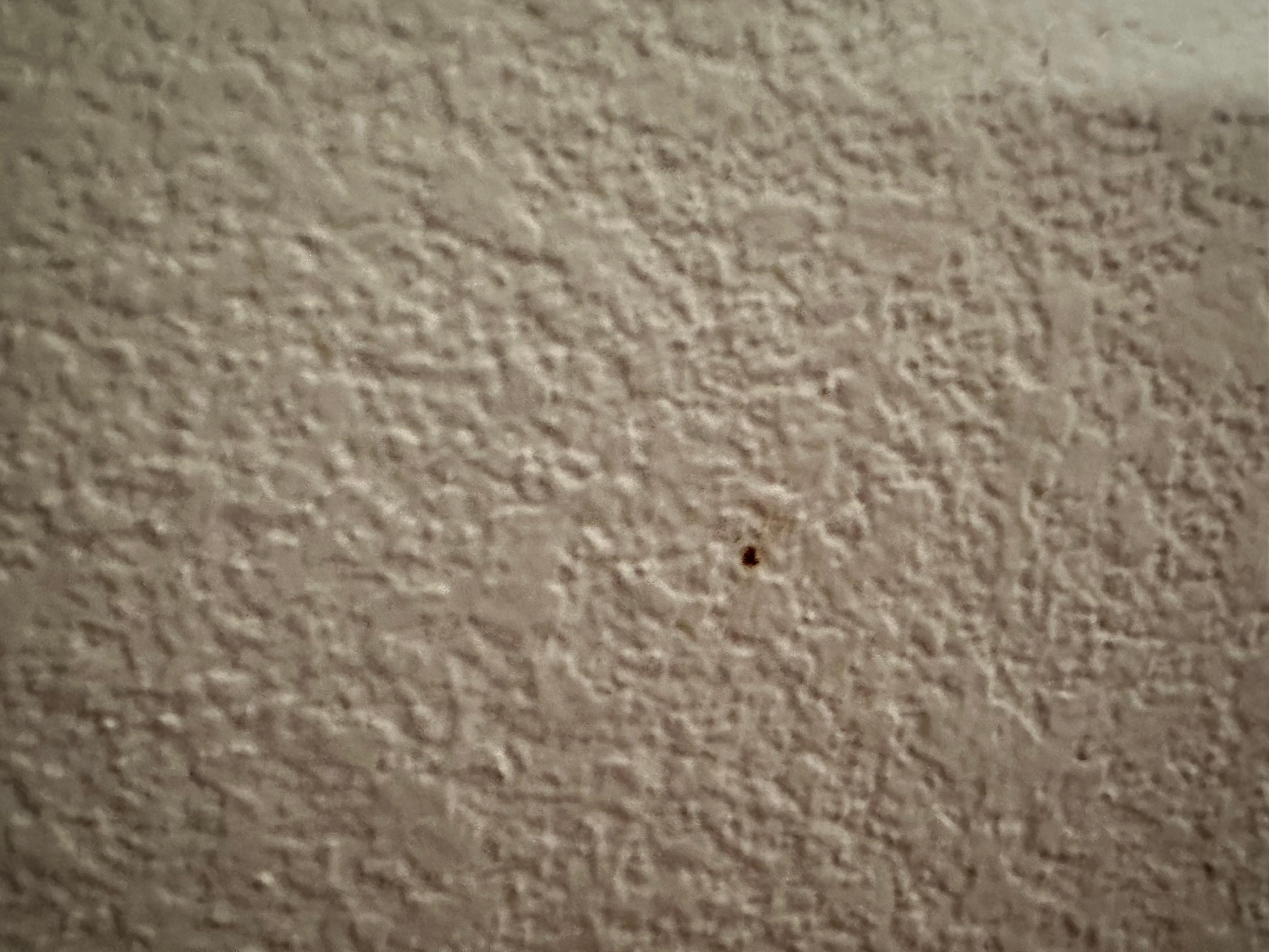 Boogers on wall, this was one of multiple.