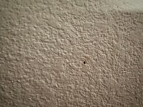 Boogers on wall, this was one of multiple.
