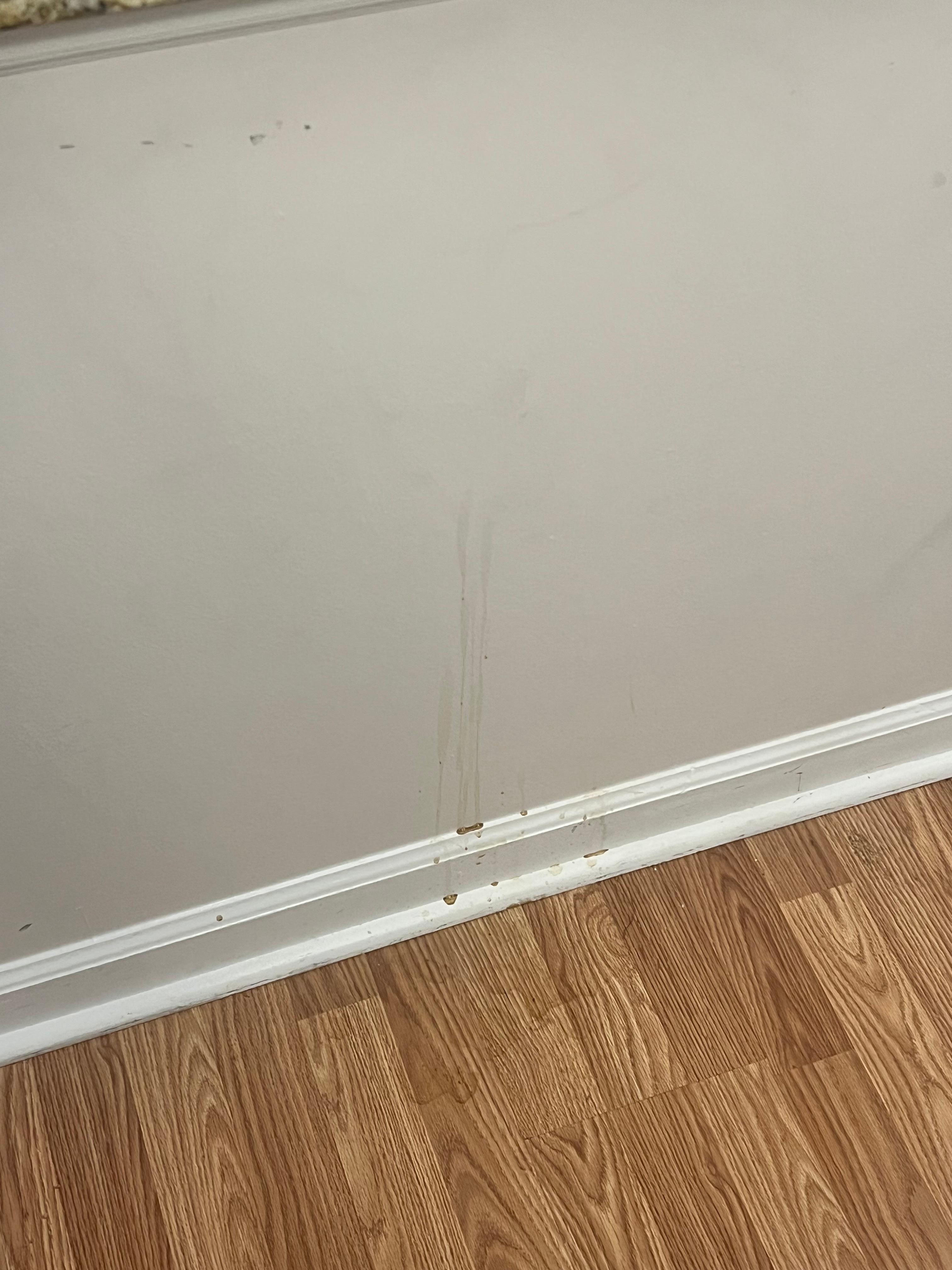 Visible stains on the island.  Clearly hadn’t been cleaned. 