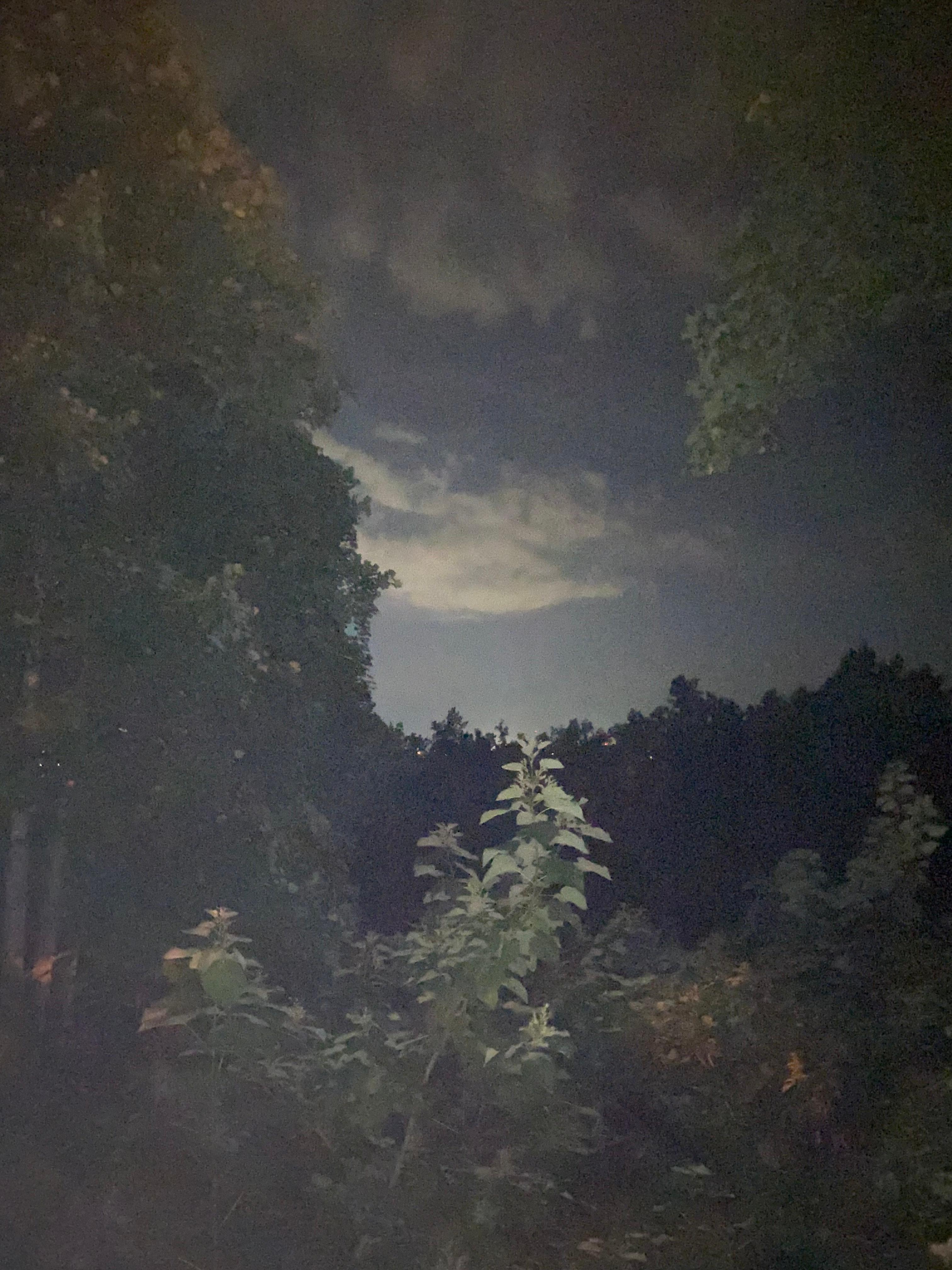 View from the back deck! 