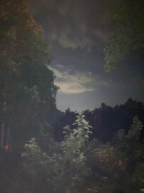 View from the back deck!