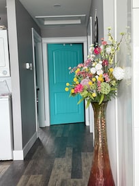 Beautiful colour on all the interior doors