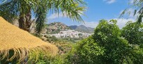 Views from the garden