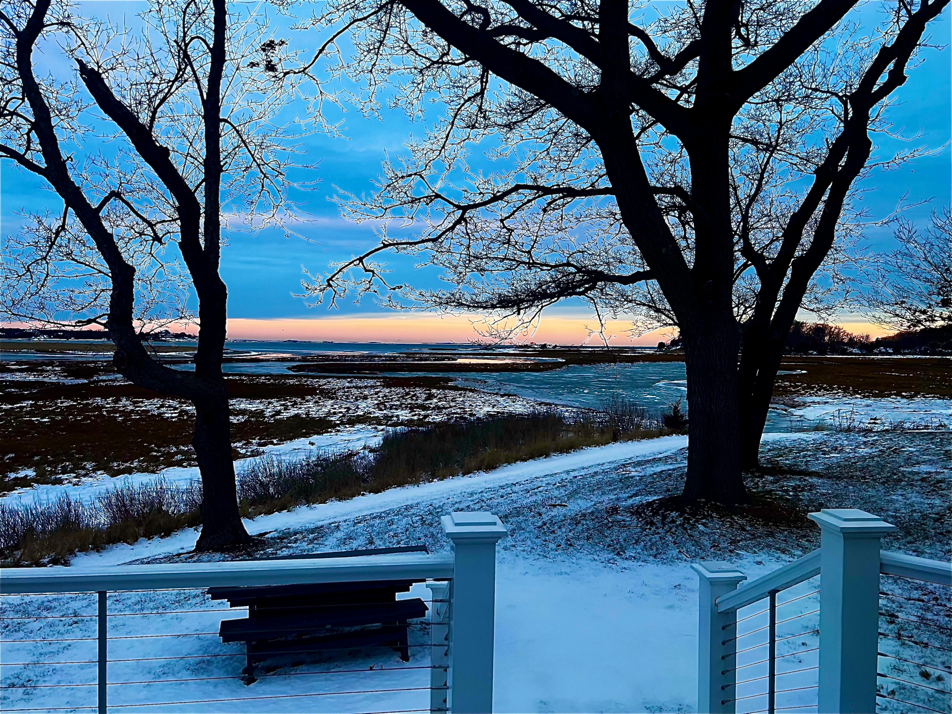 Later same morning -winter wonderland 