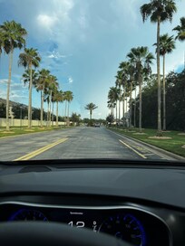 Driving through view