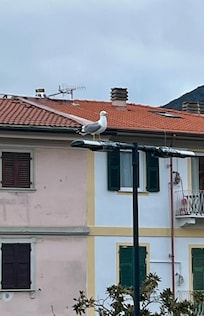 La vista dalla camera