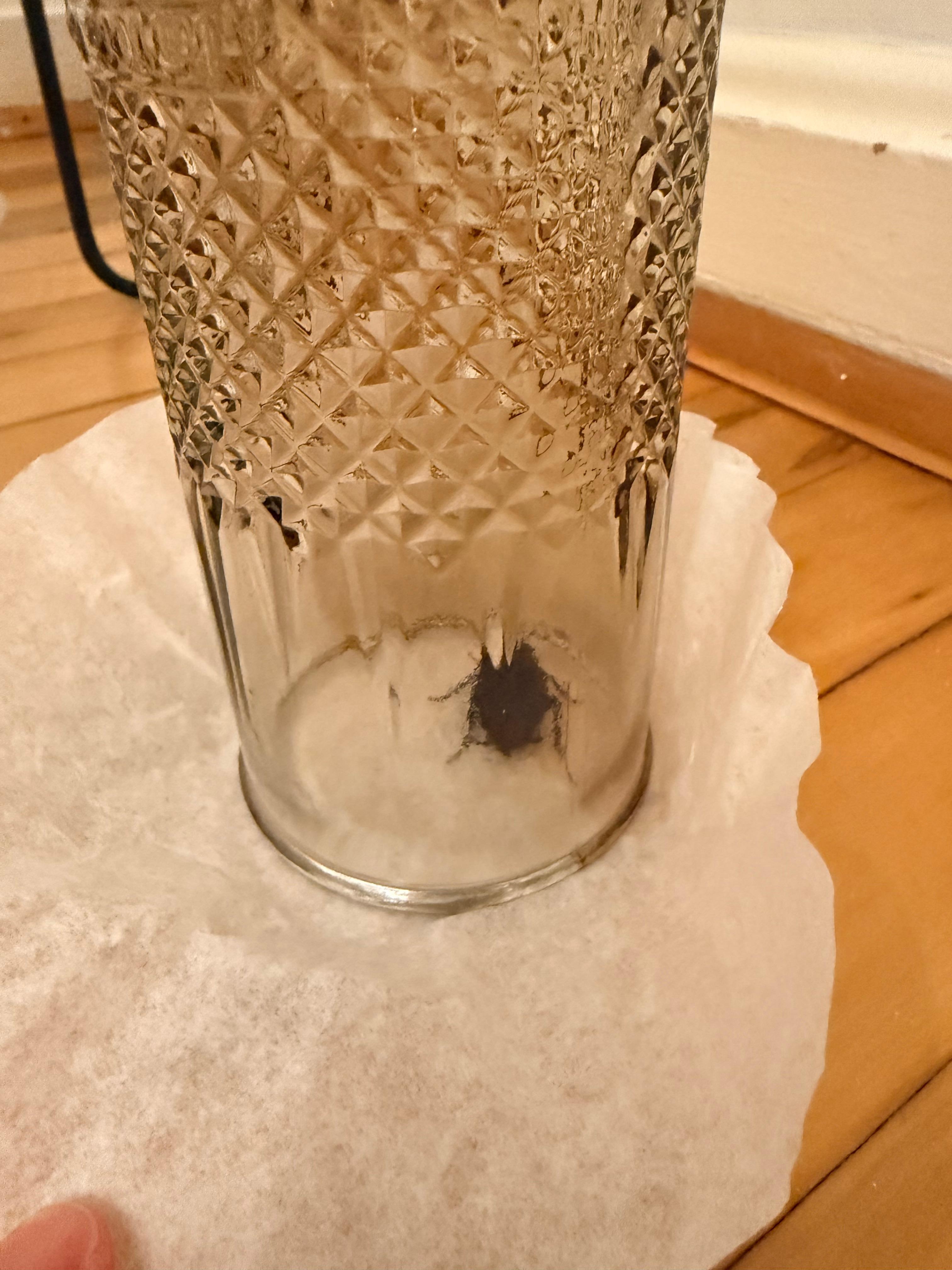 Cockroach #2