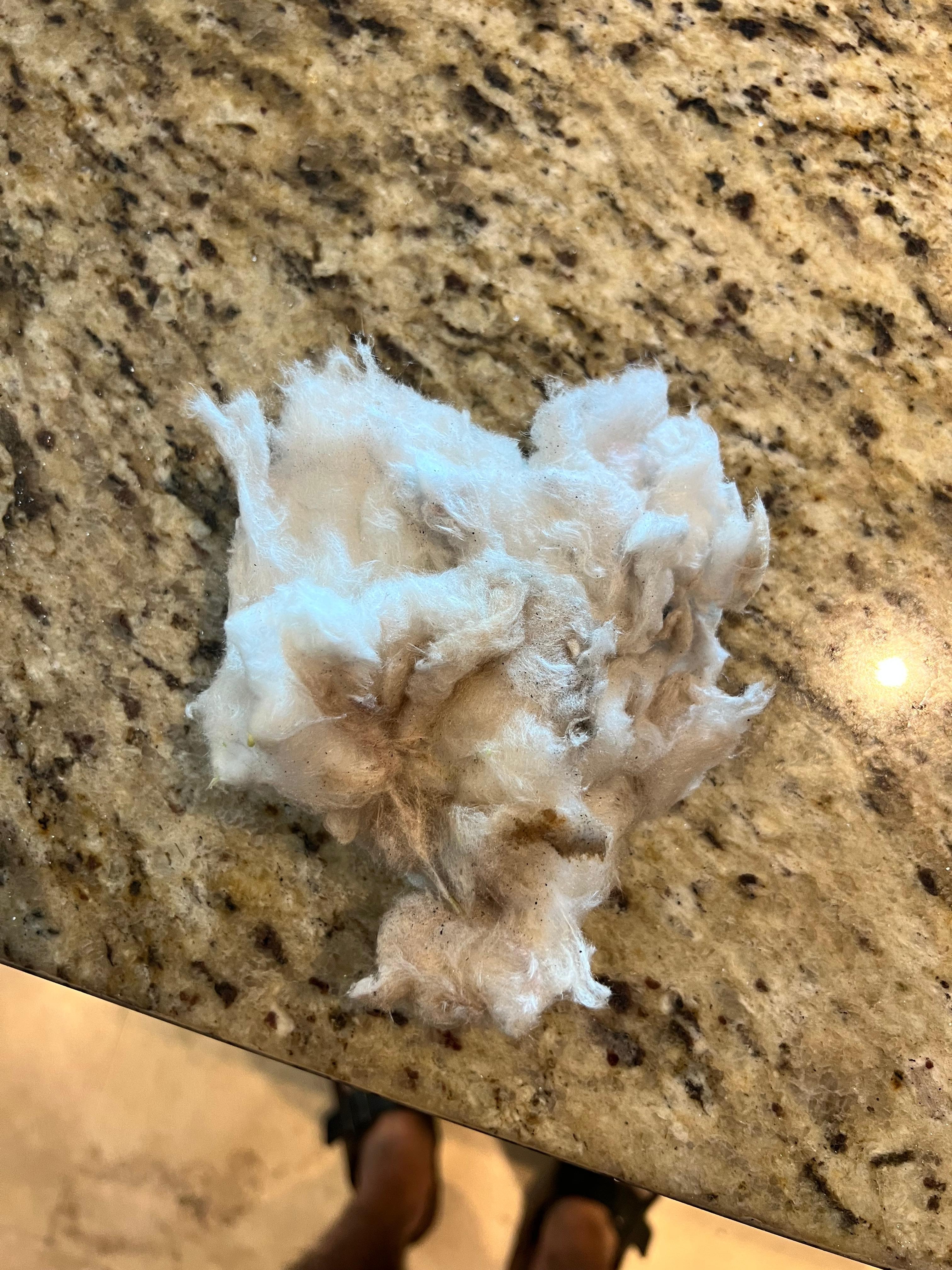 surrounding the water heater. Maintenance men told me it was DANGEROUS and FLAMMABLE! Asked if I wanted it removed, to which I replied ABSOLUTELY!