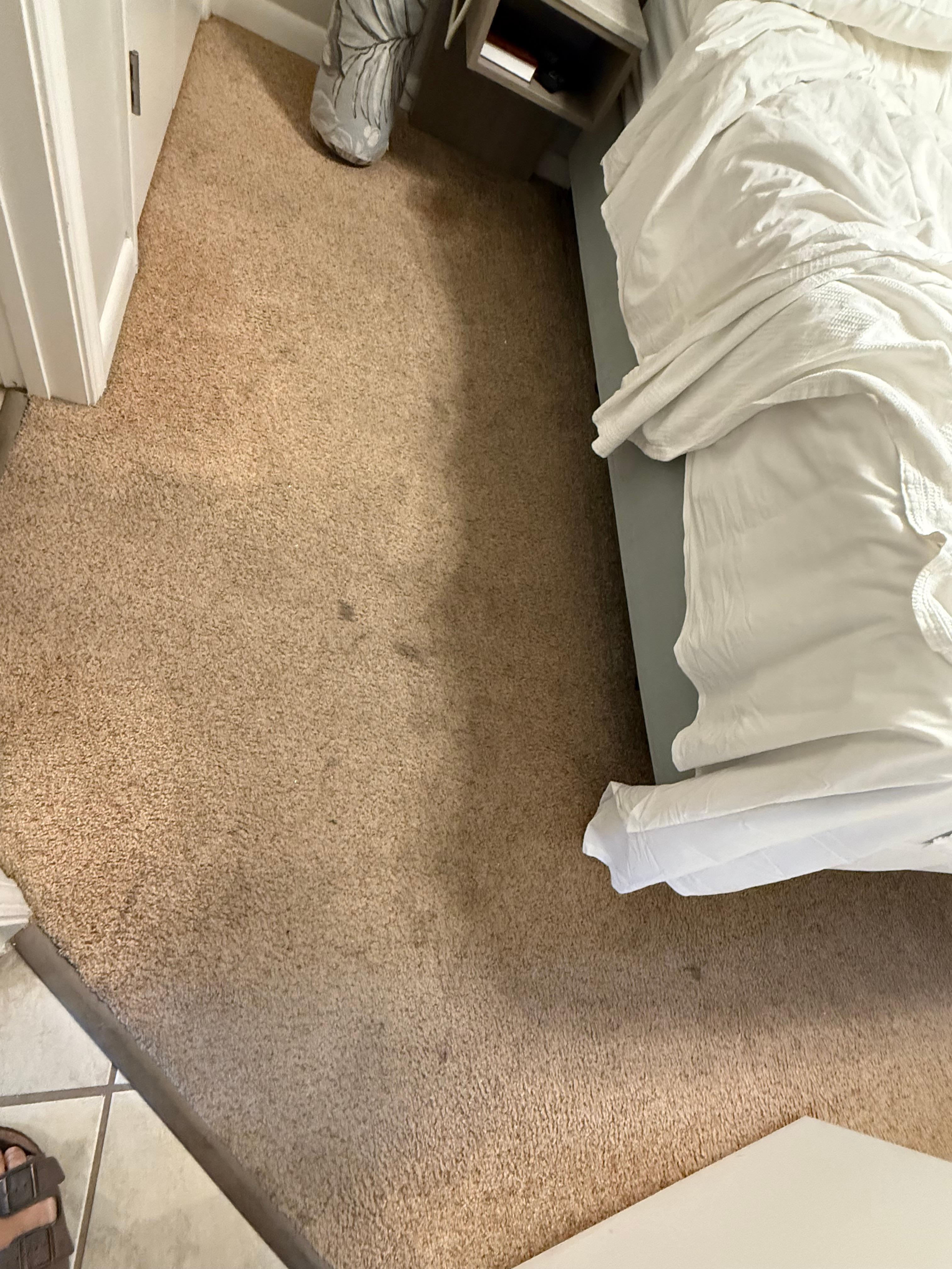 Master carpet 
We wore our shoes