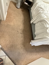 Master carpet 
We wore our shoes