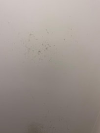 Mold