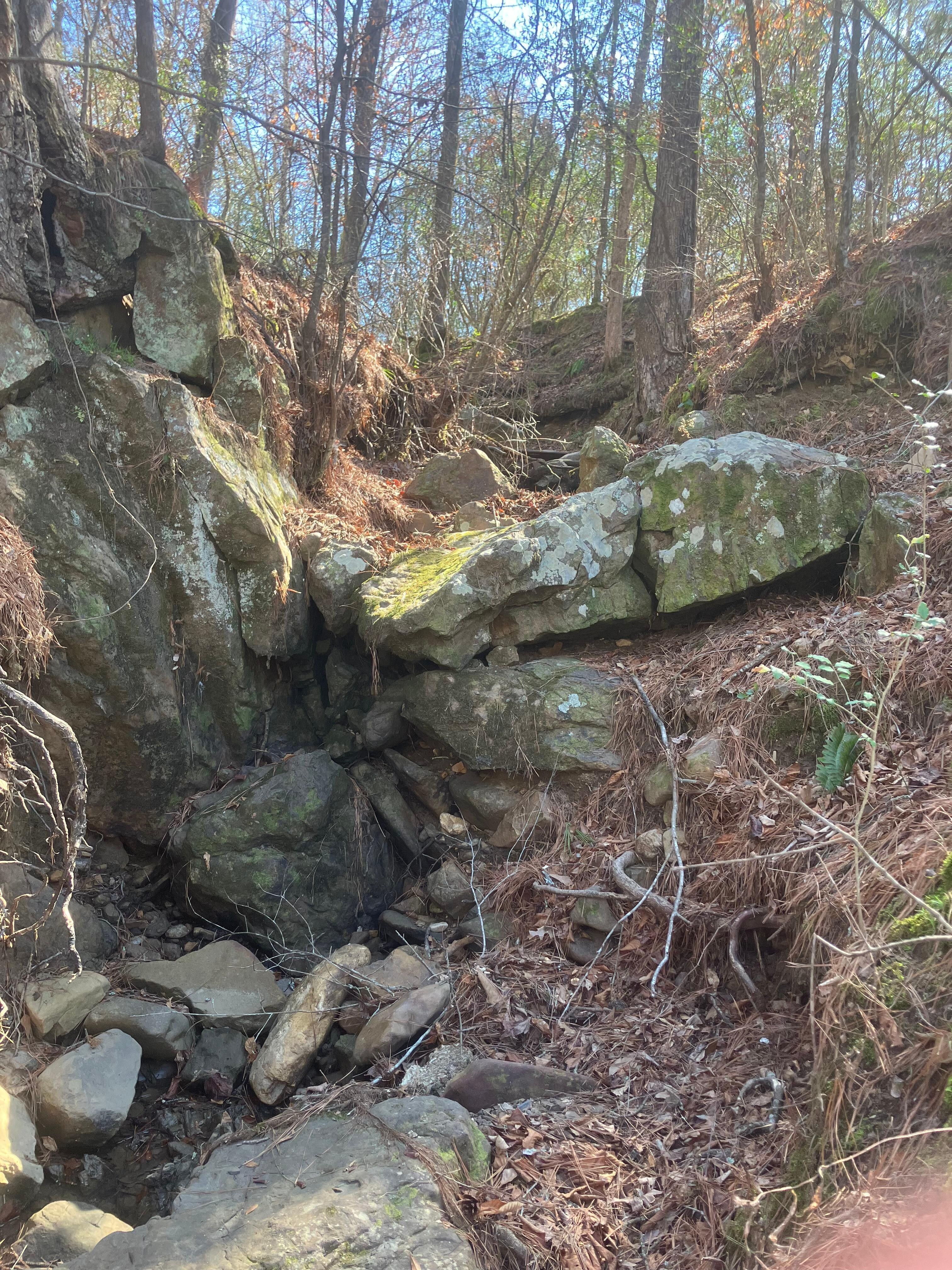 More exploring down by river close to cabin