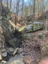 More exploring down by river close to cabin