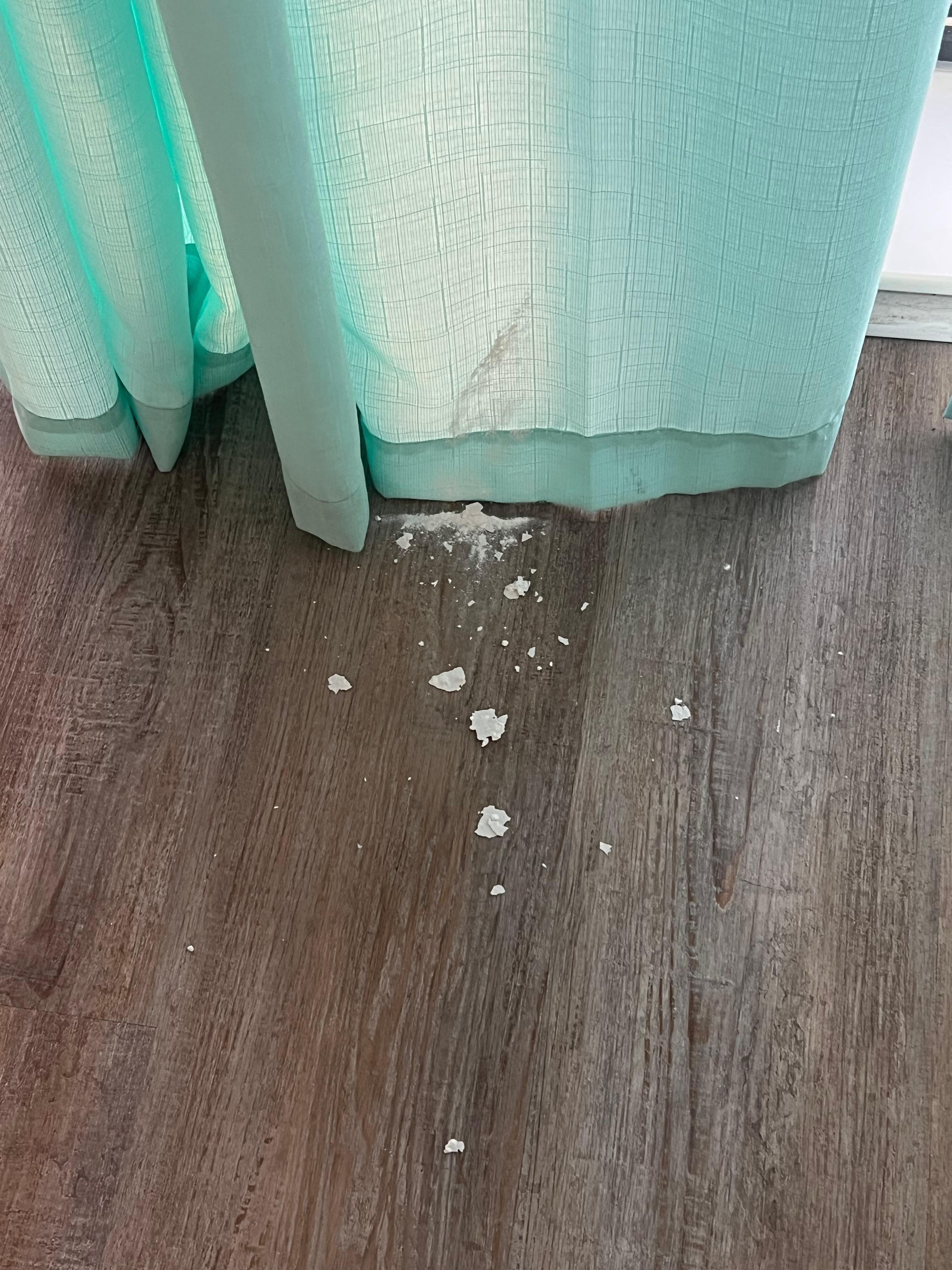 Ceiling crumbles on floor after our first night 