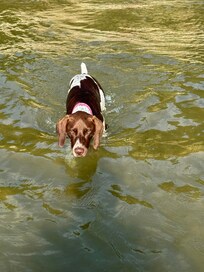 Time for a dip in Lake Michigan.