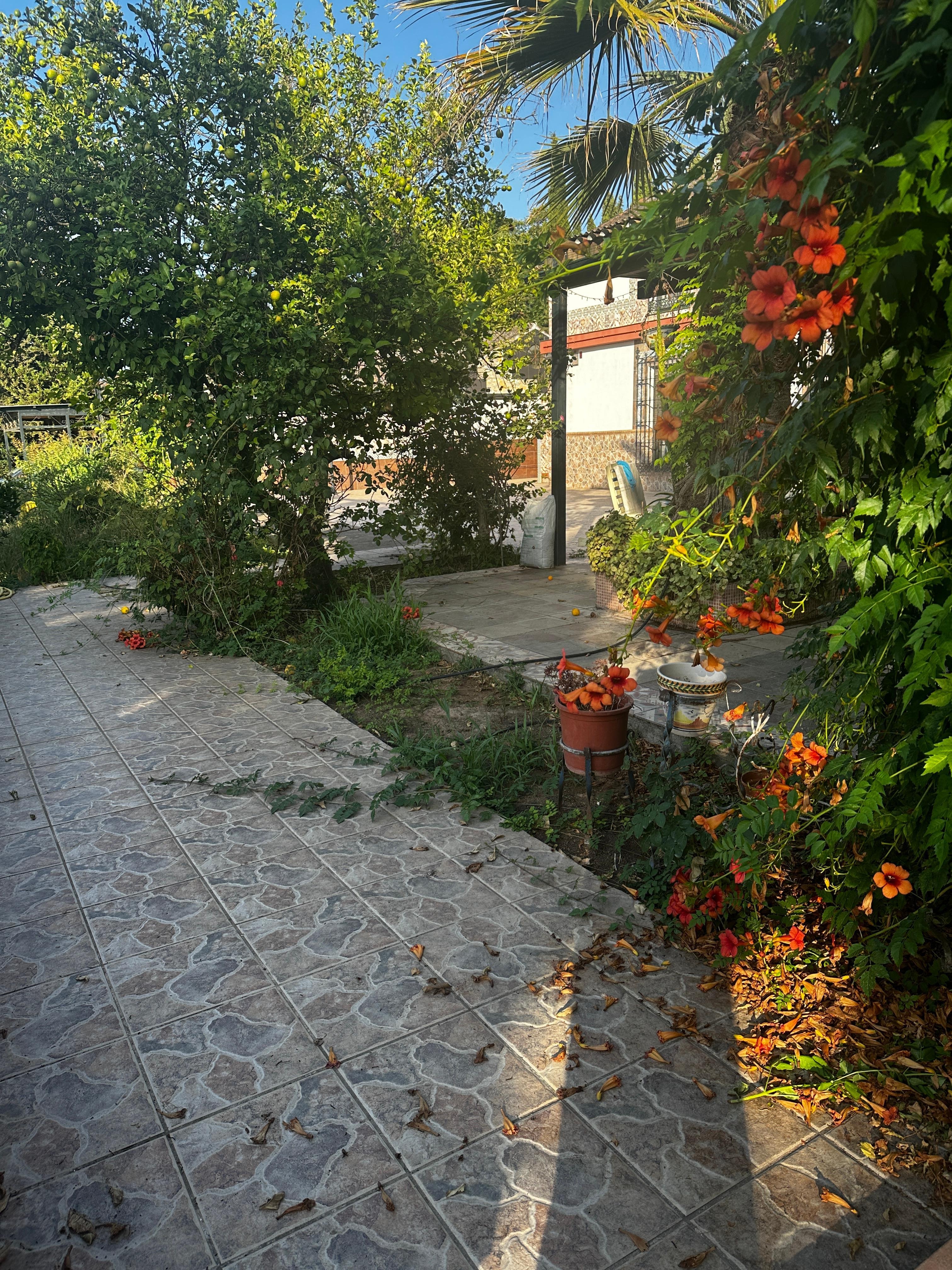 Beautiful flowers surrounding the pool