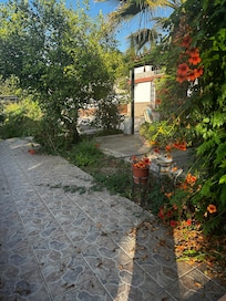 Beautiful flowers surrounding the pool