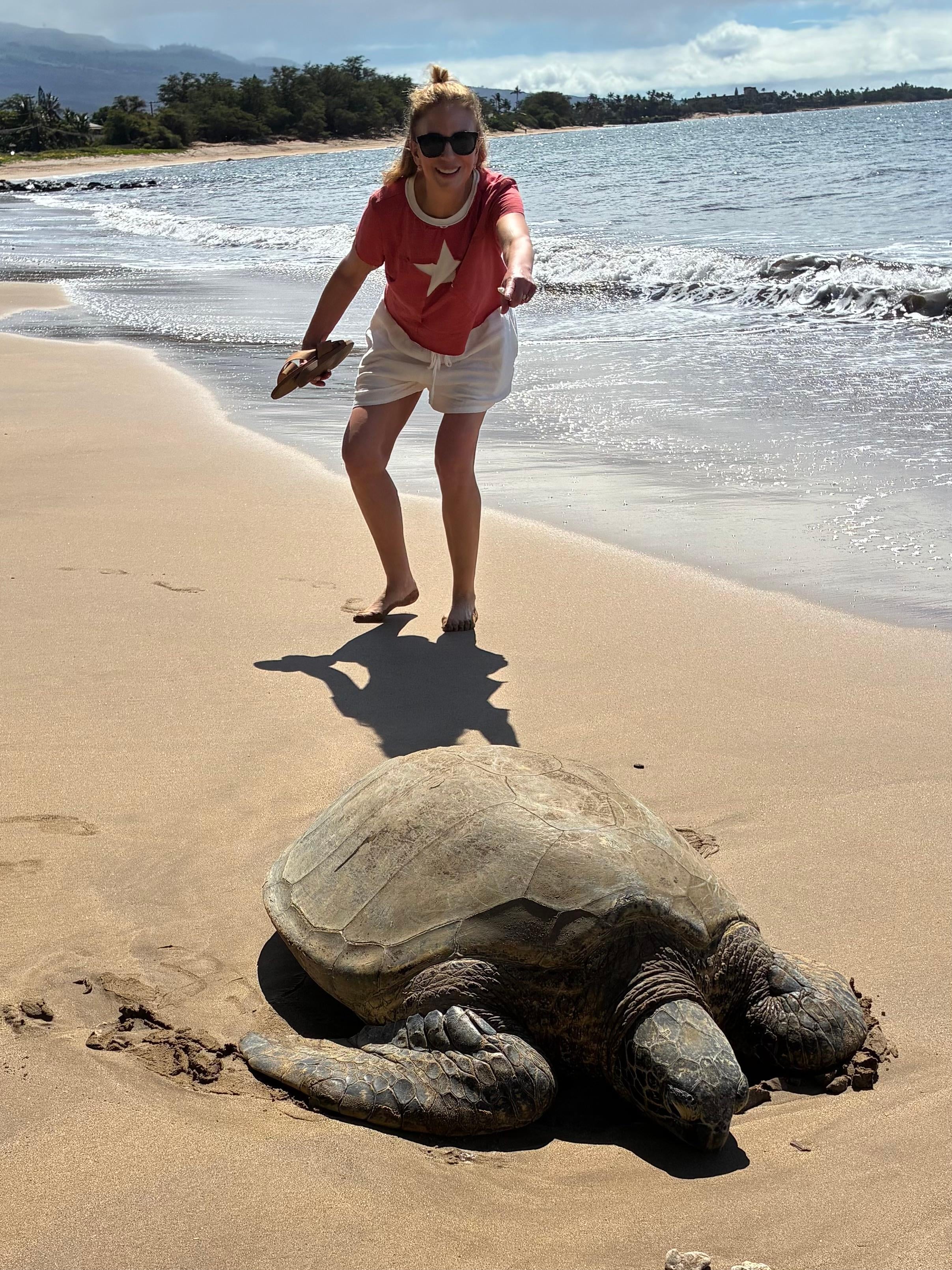 Very large turtle sunning on the beach 