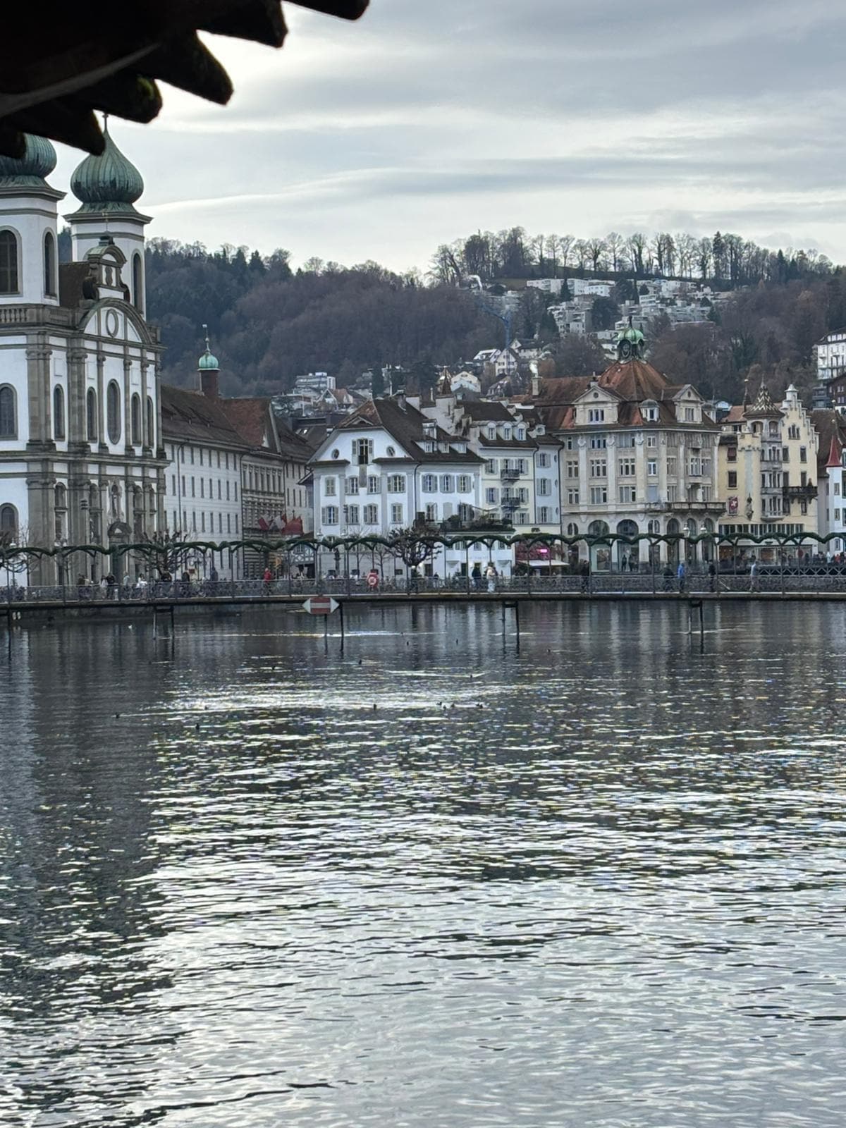 View towards hotel across lake (hotel not visible)
