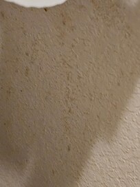 Mildew on wall