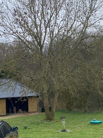 View from the decking area