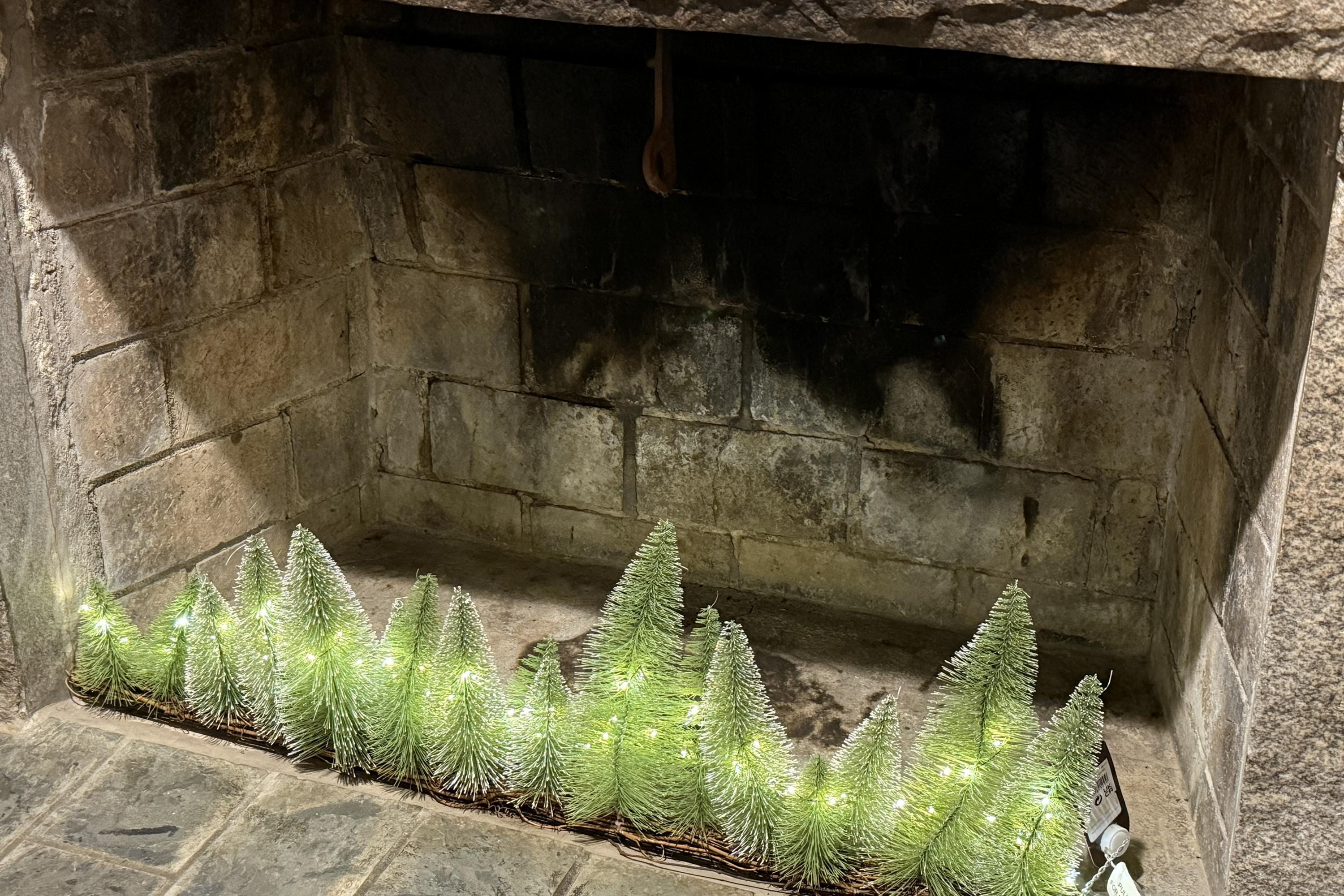 Cottagecore Christmas decor made this vrbo feel like home