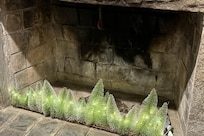 Cottagecore Christmas decor made this vrbo feel like home